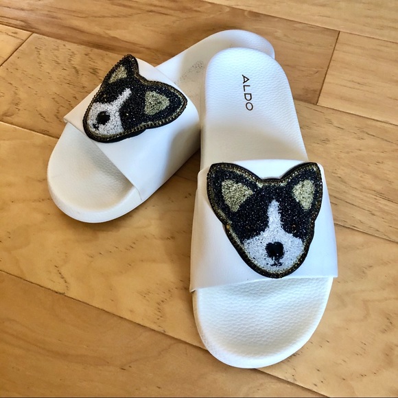 dog pool shoes